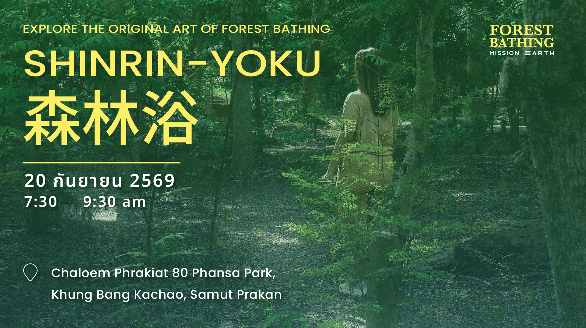 EXPLORE THE ORIGINAL ART OF FOREST BATHING